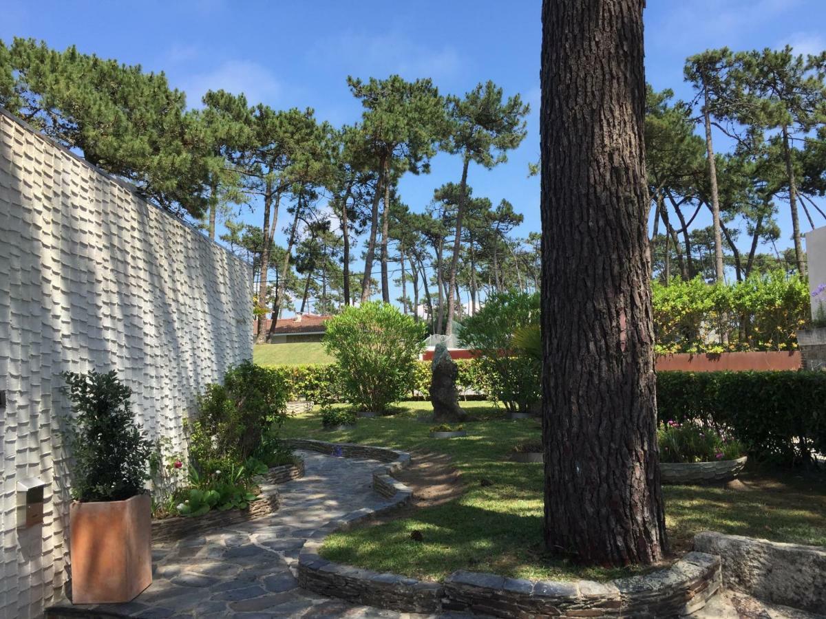 Ofir Beach House Bonanca 에스포센데 외부 사진
